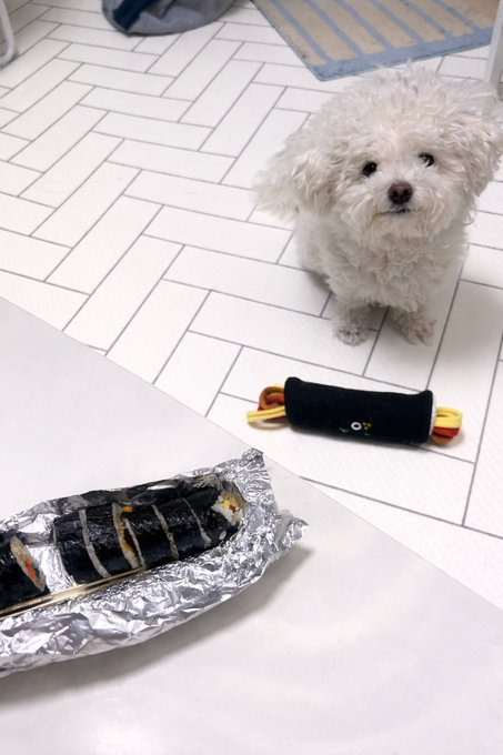 김밥을 먹는데 교환신청이 들어왔다 | 인스티즈