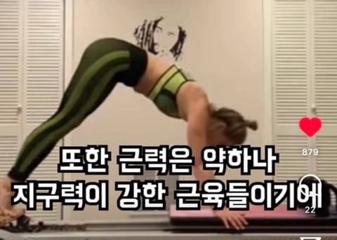 필라테스의 효과 (속근육의 기능) | 인스티즈