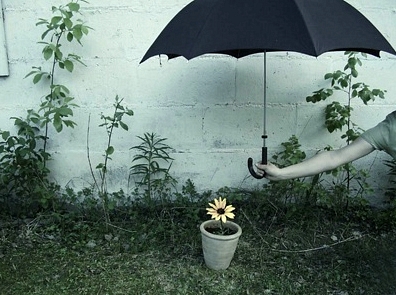 자살.................................생각해 보신 적 있으세요? | 인스티즈