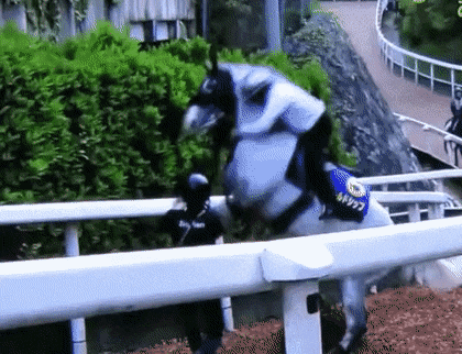 일본 경마 역사상 천재이자 최고의 마.jpg | 인스티즈