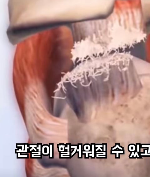 필라테스의 효과 (속근육의 기능) | 인스티즈