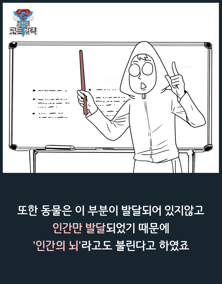 고양이는 하루종일 무슨 생각을 할까? | 인스티즈