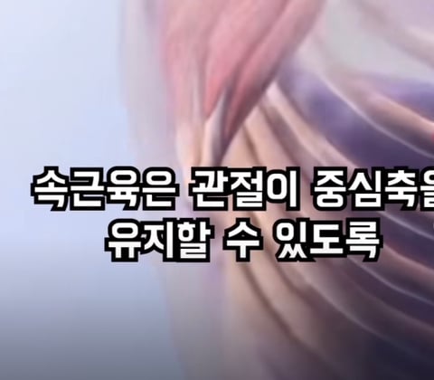 필라테스의 효과 (속근육의 기능) | 인스티즈