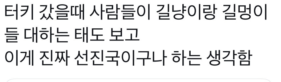 터키 유기동물급식자판기 | 인스티즈