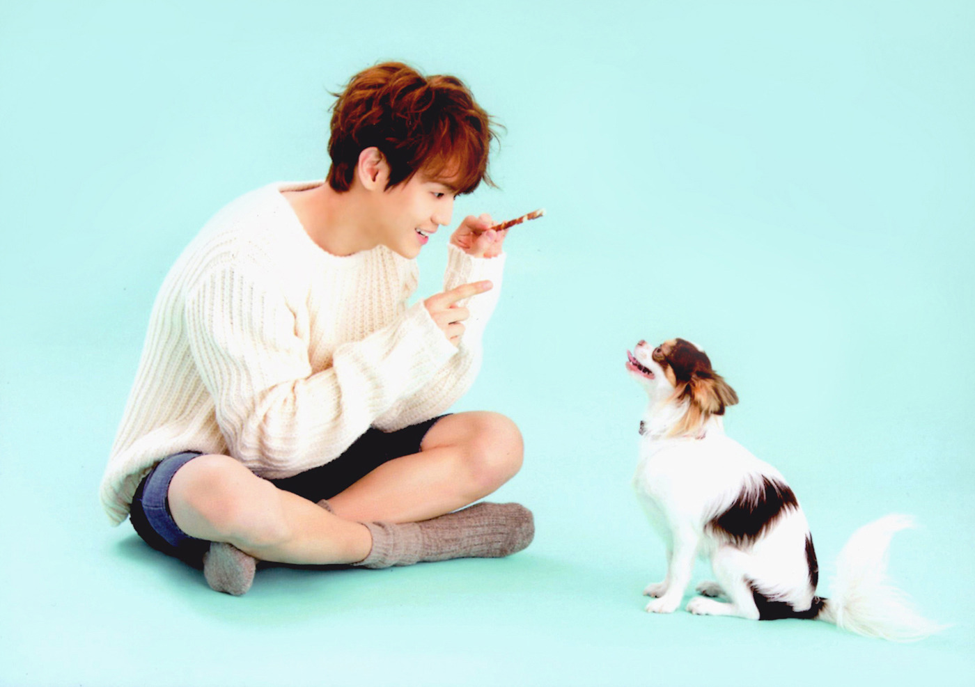 남자 아이돌이 키우는 강아지들 | 인스티즈