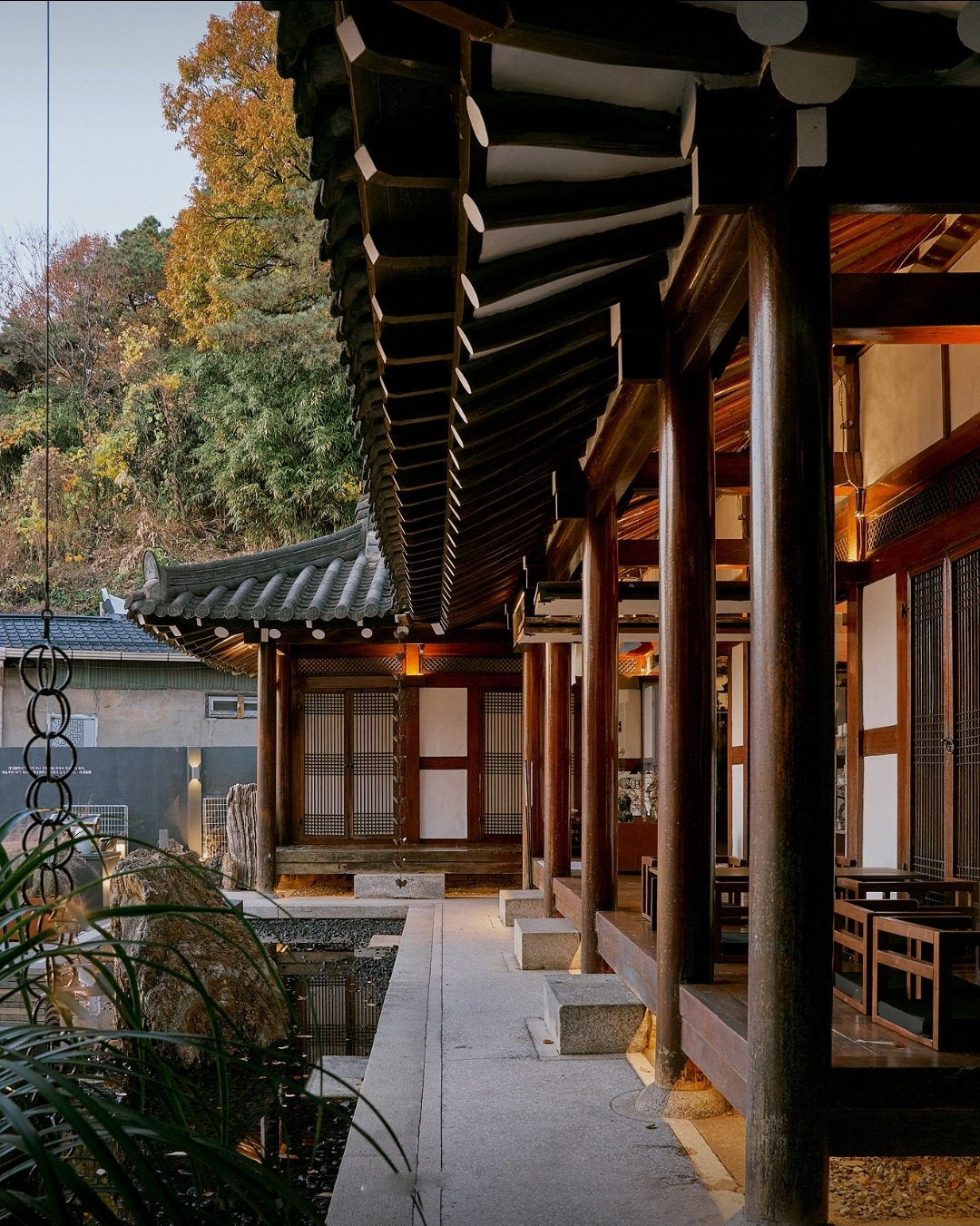 광주 가는 차(tea)들이라면 여길 가보았으면 해 | 인스티즈