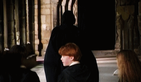 해리포터 비하인드 스토리 - 비밀의 방 (못다한 이야기) | 인스티즈