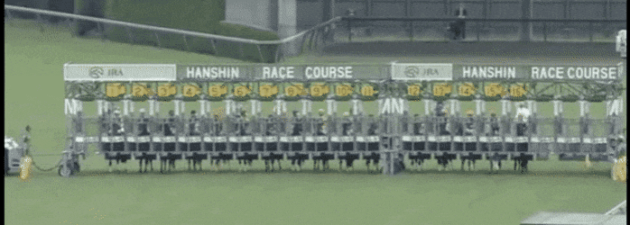 일본 경마 역사상 천재이자 최고의 마.jpg | 인스티즈