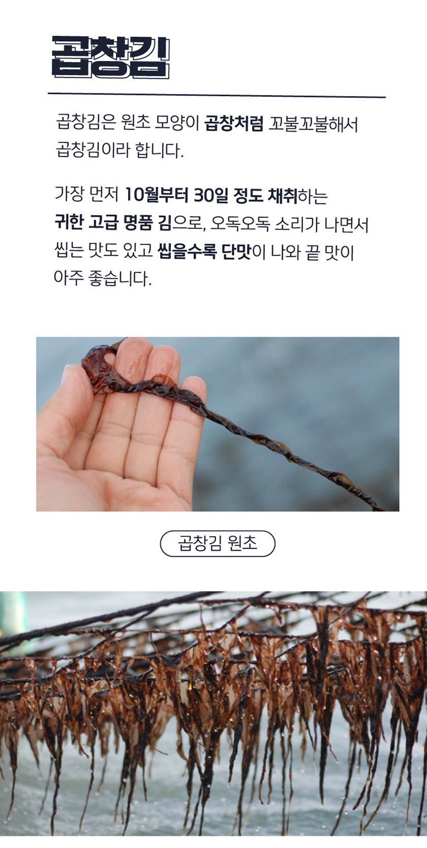 곱창김 충격적인 사실 | 인스티즈