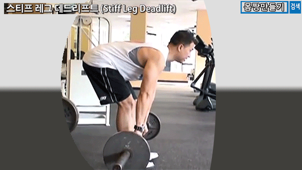 데드리프트(Deadlift)의 종류 - 1편 (컨벤셔널, 루마니안, 스티프 레그, 스모) | 인스티즈