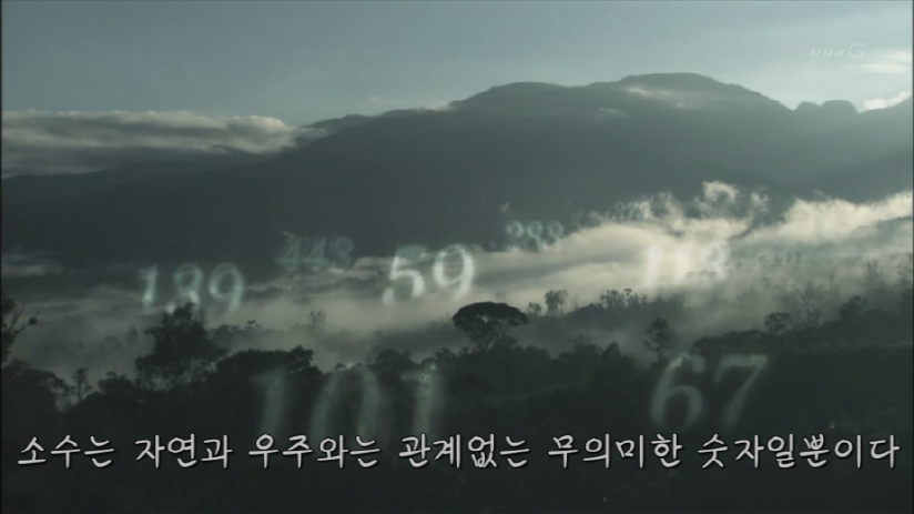 2,3,5,7,11,13,17 이렇게 배열되는 소수의 규칙성을 알 수 있을까요? .jpg | 인스티즈