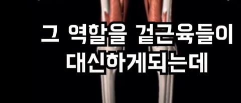 필라테스의 효과 (속근육의 기능) | 인스티즈
