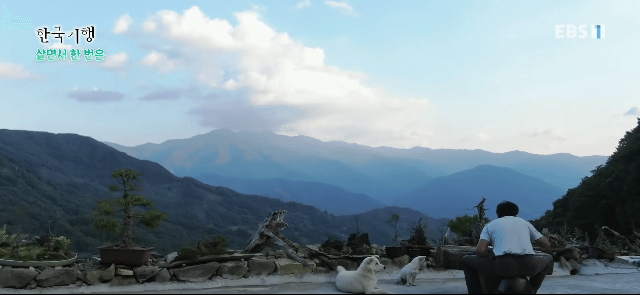 지리산에서 돌판에 구워먹는 삼겹살&김치.gif | 인스티즈