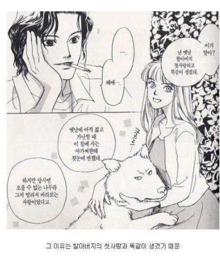 한국 막장드라마는 쨉도 안되는 일본 순정만화 | 인스티즈