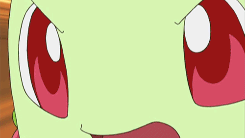 포켓몬스터) 넘나 귀여운 치코리타 짤모음 | 인스티즈