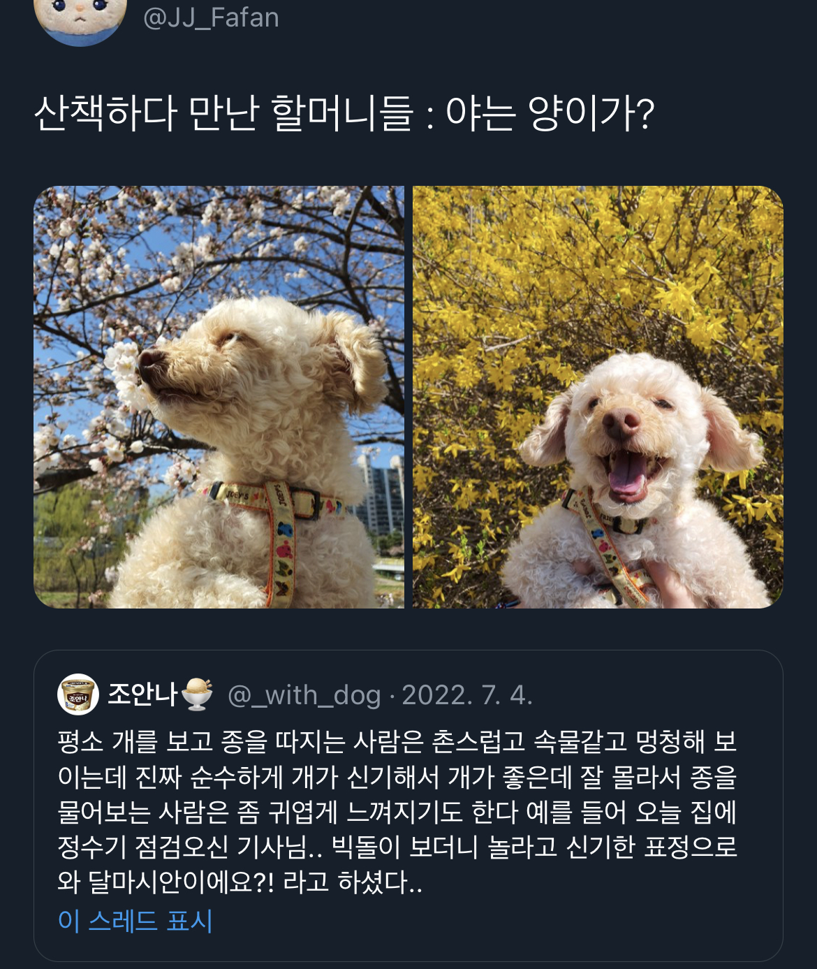 근데… 아파트에서 고라니새끼 키워도 돼요..? | 인스티즈