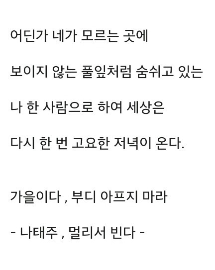 아련하고 먹먹한 시 글귀 모음 | 인스티즈