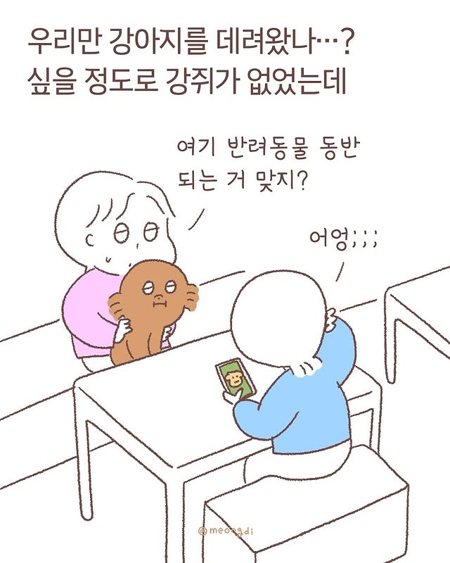 생각보다 눈치빠른 강아지들 | 인스티즈