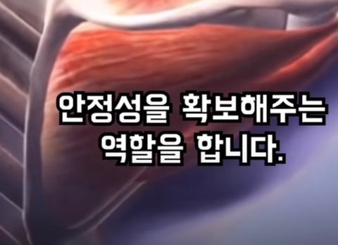 필라테스의 효과 (속근육의 기능) | 인스티즈