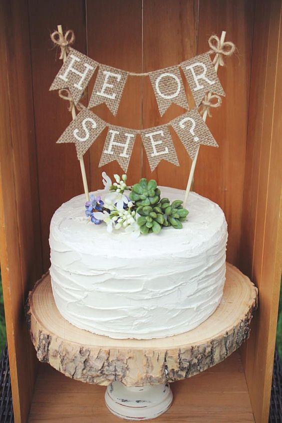 성별을 알려주는 케이크 | 인스티즈