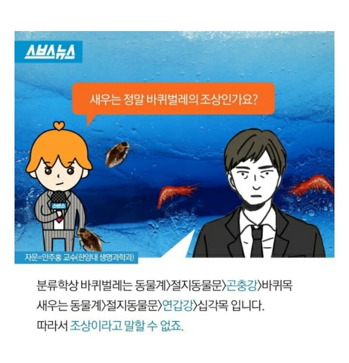 새우와 바퀴벌레의 조상은 같다의 진실 | 인스티즈
