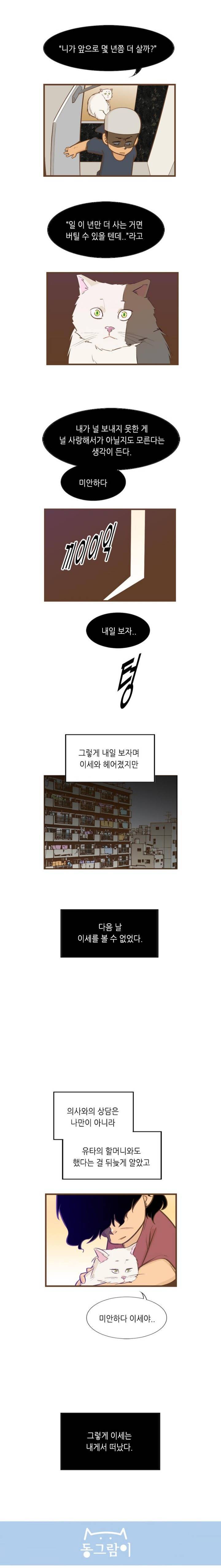 늙은 고양이 버리는 만화 | 인스티즈