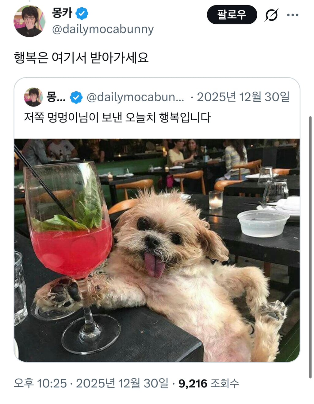 당신은 너구리의 엉덩이를 보았습니다 | 인스티즈