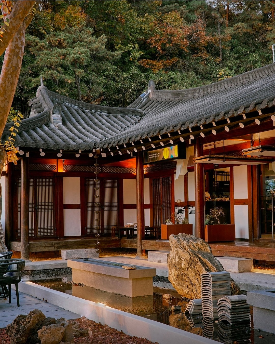 광주 가는 차(tea)들이라면 여길 가보았으면 해 | 인스티즈