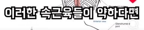 필라테스의 효과 (속근육의 기능) | 인스티즈
