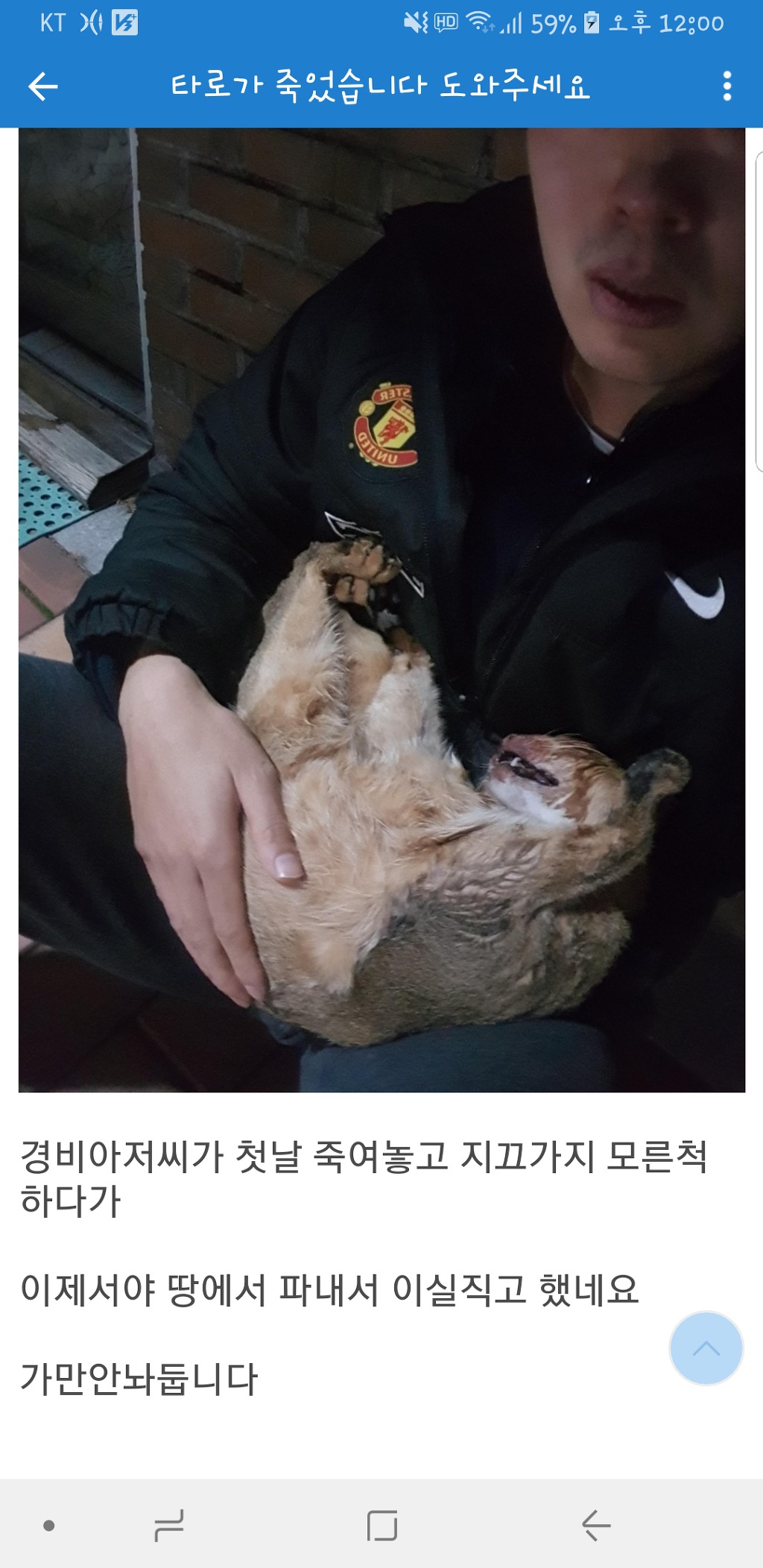 고양이 잃어버린 디시인(분노주의) | 인스티즈