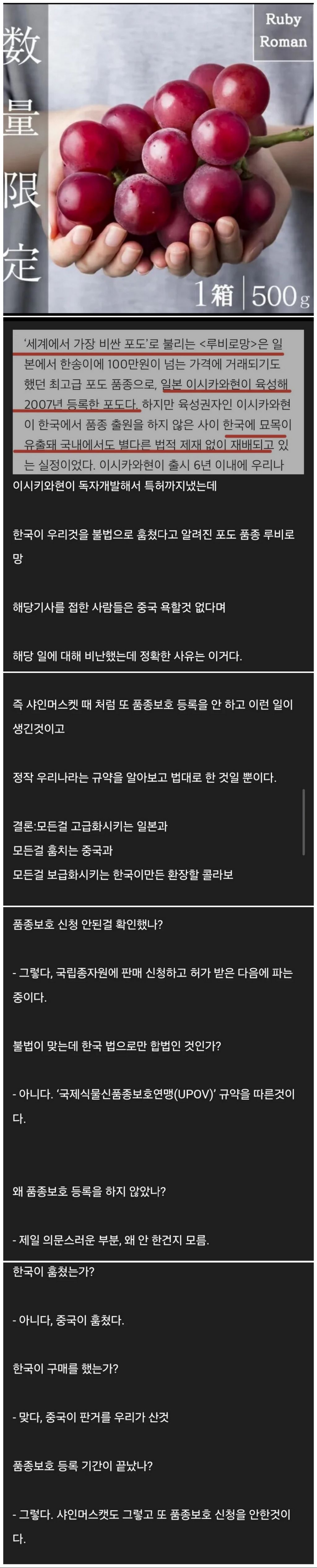 제 2의 샤인 머스켓 사태 | 인스티즈