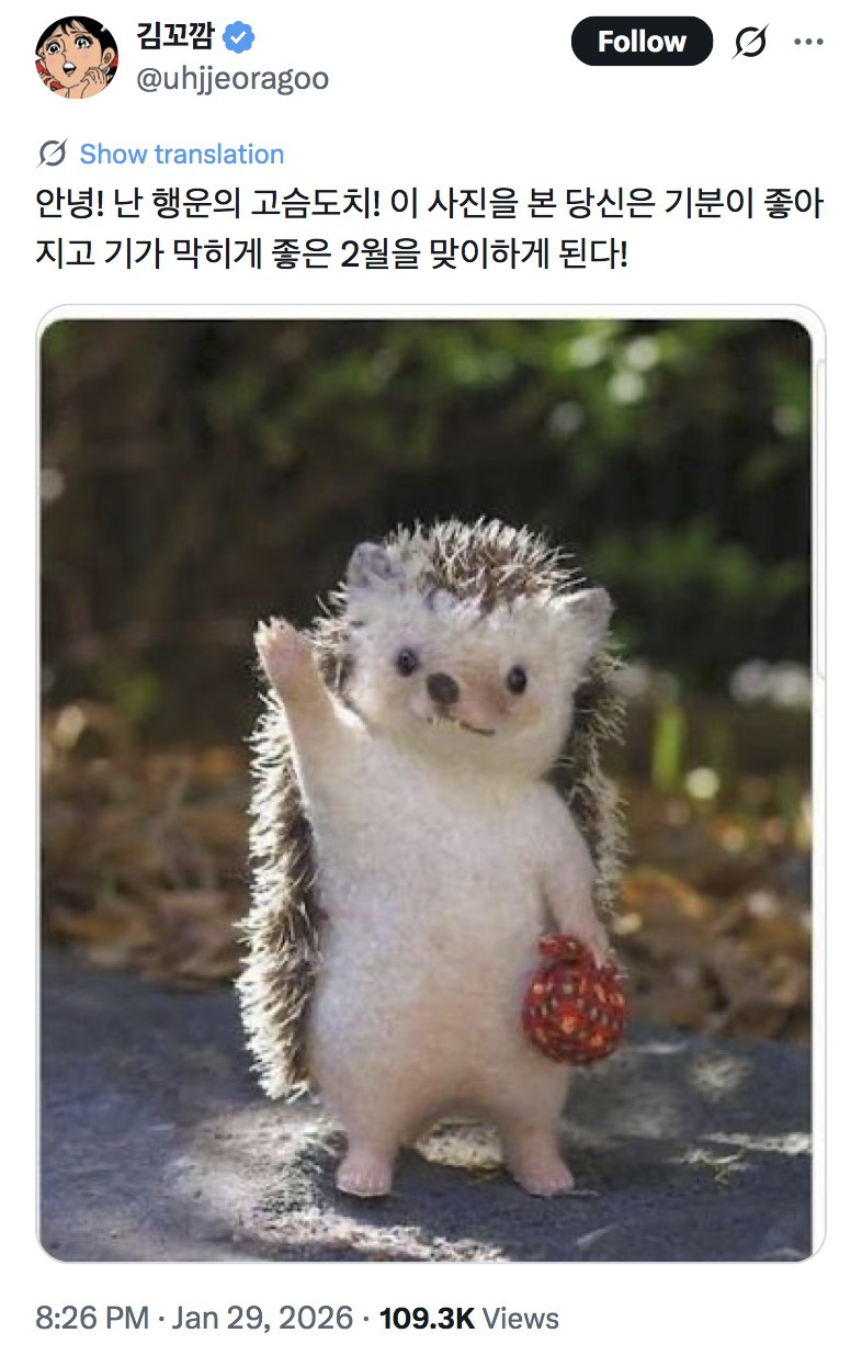 안녕! 이 사진을 본 당신은 기분이 좋아지고 기가 막히게 좋은 2월을 맞이하게 된다! | 인스티즈