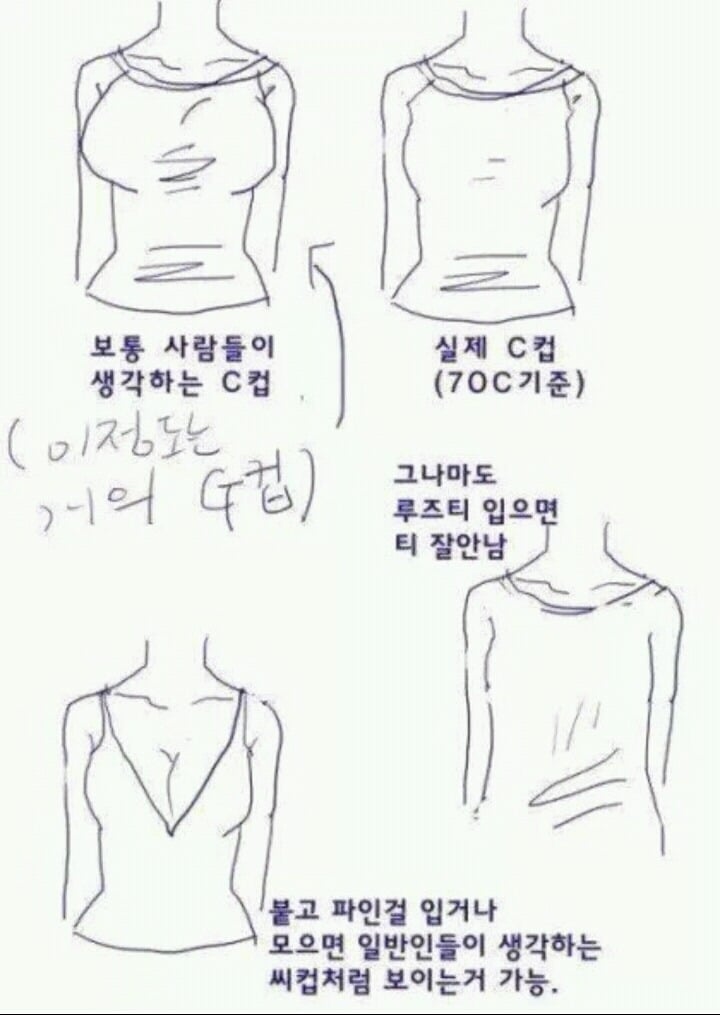 남자들이 잘못알고있는 여자들의 C컵 | 인스티즈