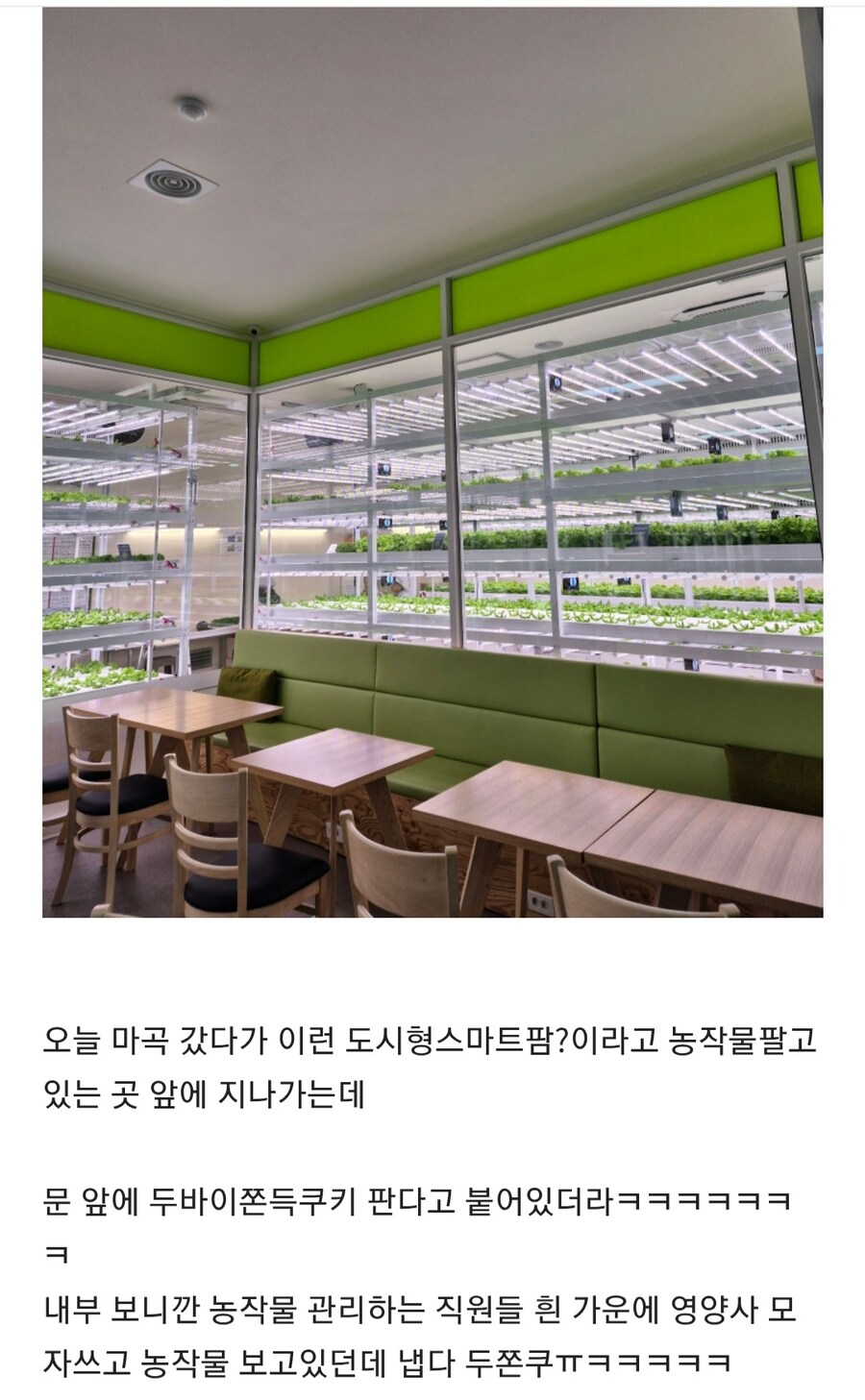 유행 대폭발중인 두쫀쿠상황.jpg | 인스티즈
