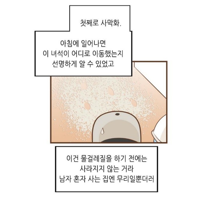 늙은 고양이 버리는 만화 | 인스티즈