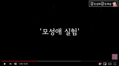 뜨거운 불판에 아기랑 엄마넣고 모성애 실험한 일본 | 인스티즈