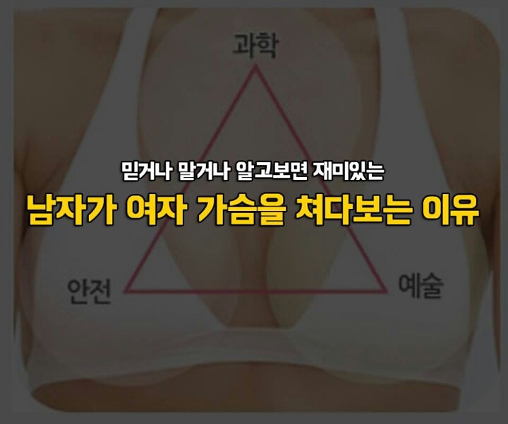 남자들이 여자가슴을 쳐다보는 이유 | 인스티즈