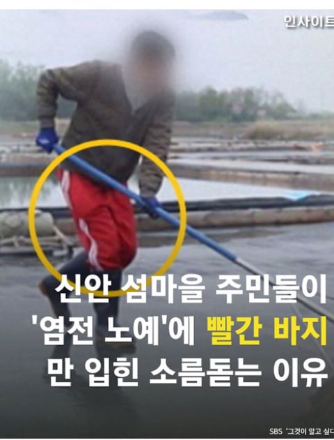 신안 섬마을 주민들이 "염전노예"에 빨간바지 입힌 이유 | 인스티즈