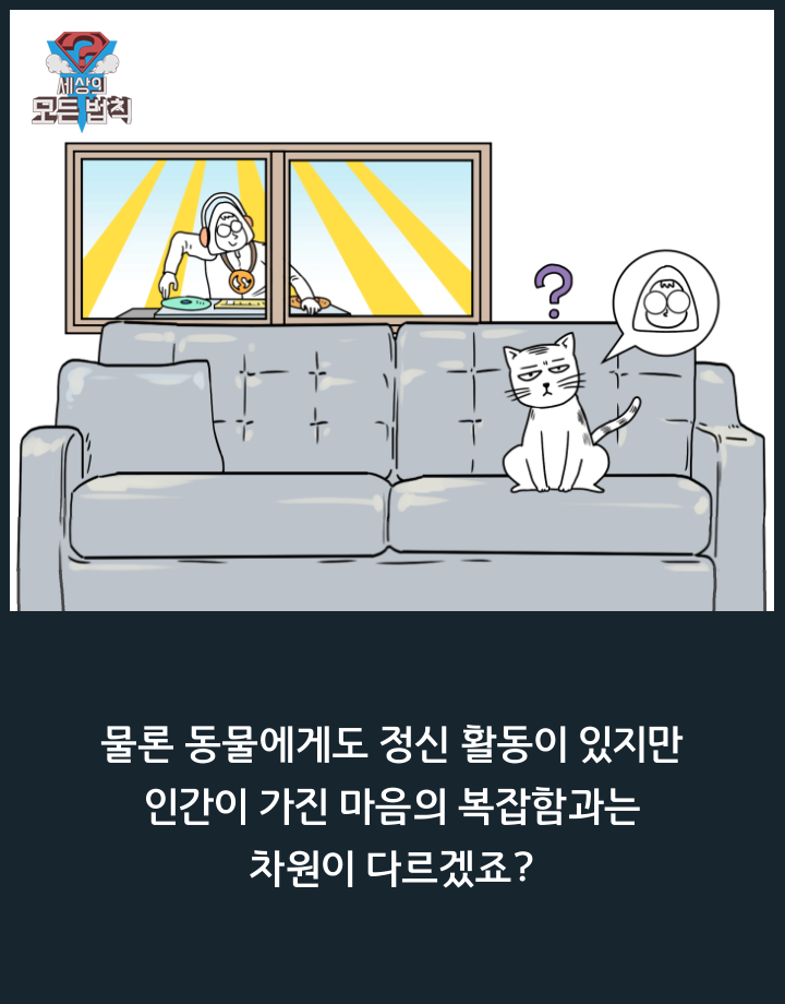 고양이는 하루종일 무슨 생각을 할까? | 인스티즈
