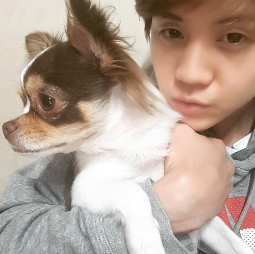 남자 아이돌이 키우는 강아지들 | 인스티즈