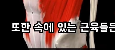 필라테스의 효과 (속근육의 기능) | 인스티즈