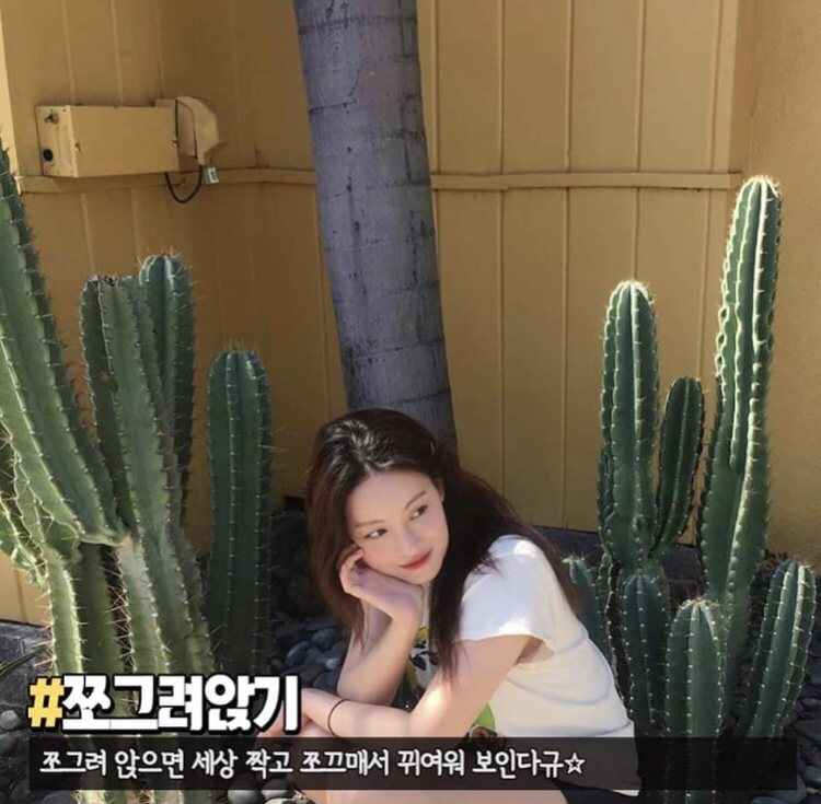 사진 찍을때 하면 좋은 포즈들 | 인스티즈