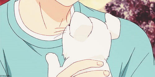 내용은 호불호 갈리지만 얼굴이 잼인 순정만화 3개 (유명함주의) | 인스티즈