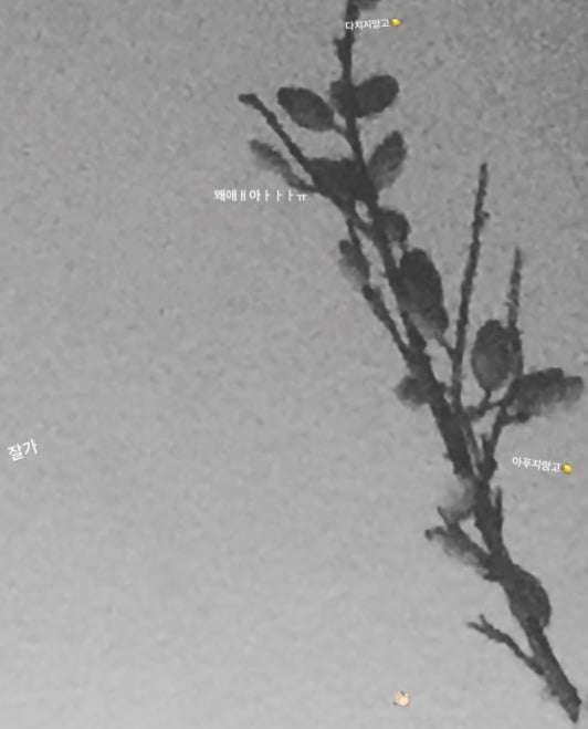 일반인 여친 인스타 공개 계정으로 맞팔했던 갓세븐 뱀뱀 | 인스티즈
