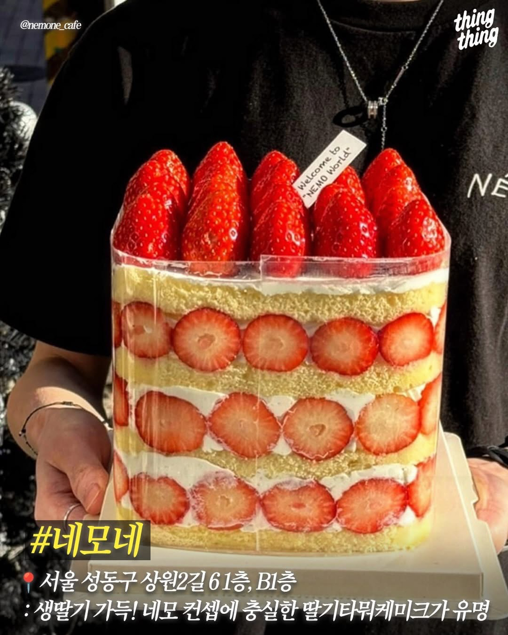 딸기처돌이들을 위한 서울딸기케이크 맛집 | 인스티즈
