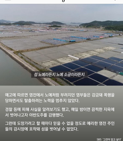 신안 섬마을 주민들이 "염전노예"에 빨간바지 입힌 이유 | 인스티즈