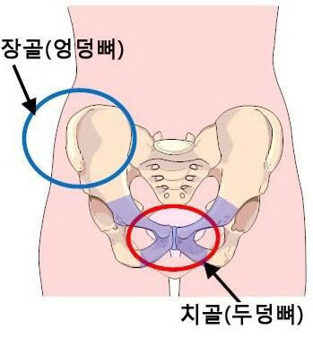 팬티속에 손넣고 자면 잠잘오는 사람 꼭 있다.jpg | 인스티즈