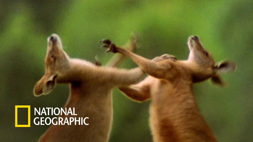 조선의 실학자는 말로 기독교를 찢어...txt | 인스티즈