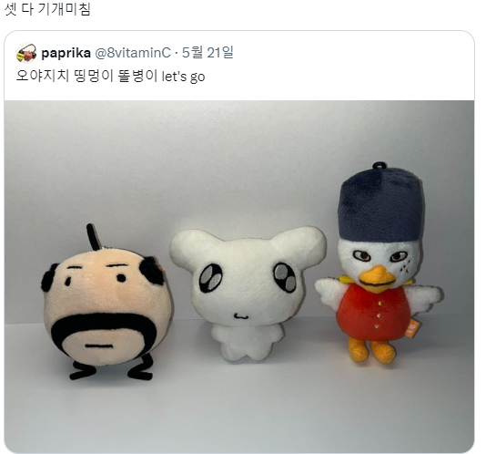 라이즈 소희 인형 '똘병이' 실물.jpg | 인스티즈