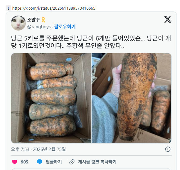 당근 5키로를 주문했는데 당근이 6개만 들어있었슨... 당근이 개당 1키로였던것이다.. 주황색 무인줄 알았다 | 인스티즈